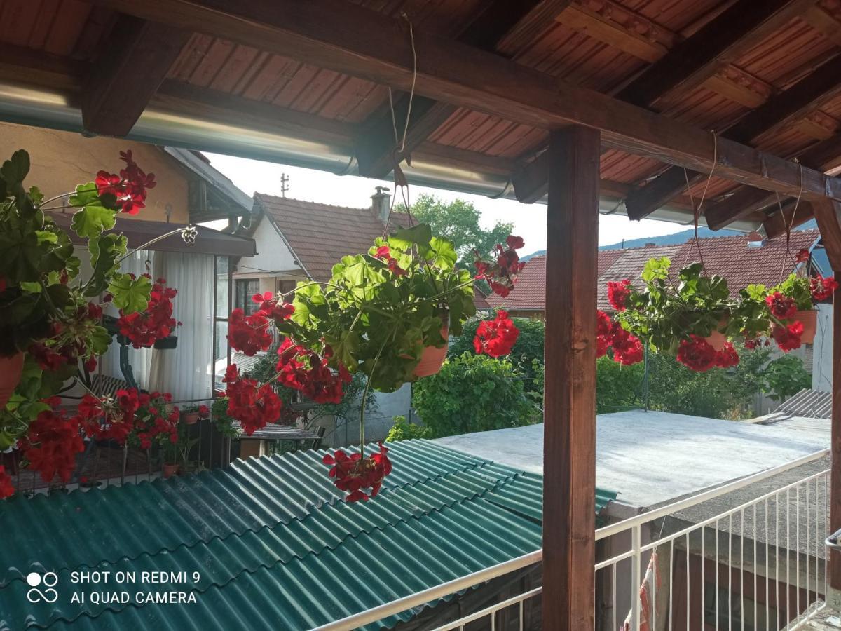Apartman ,,Milica" โดนยี มิลาโนวัซ ภายนอก รูปภาพ